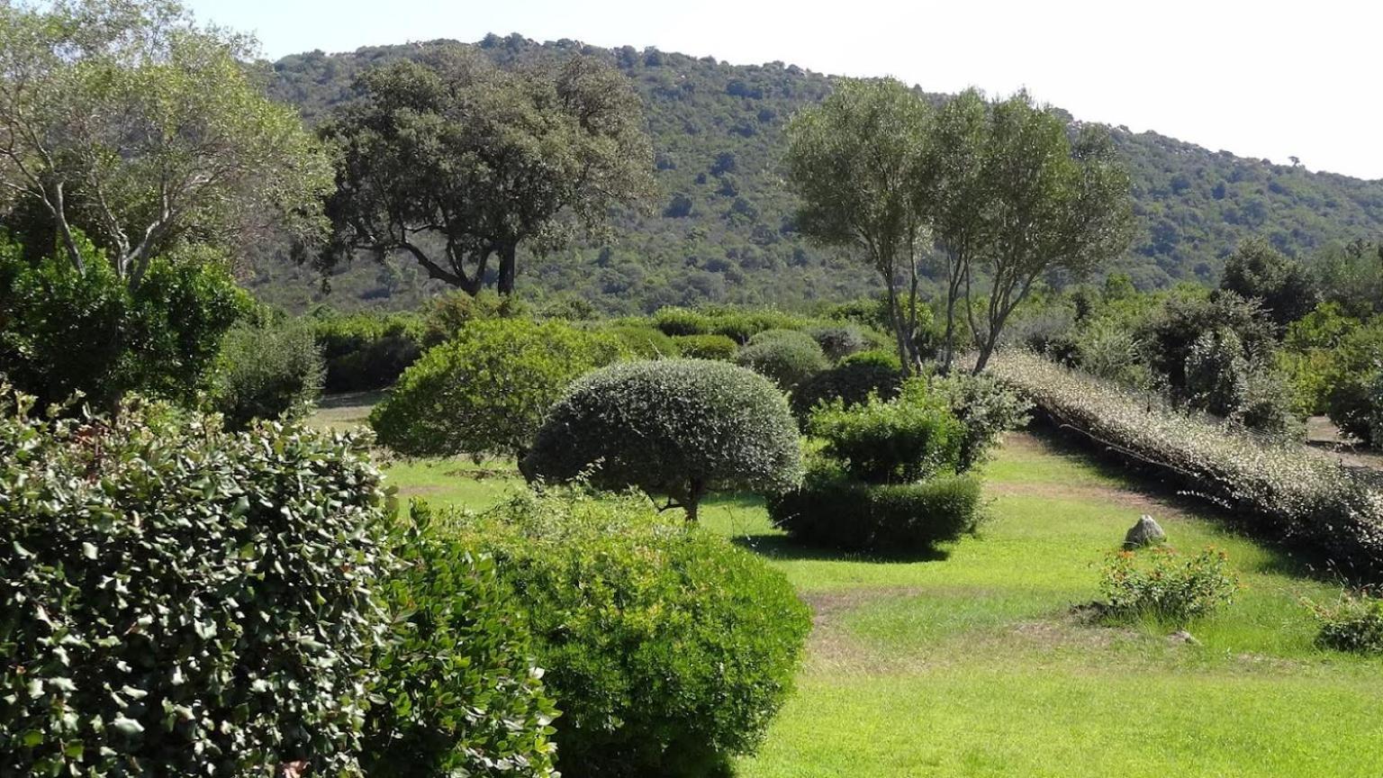 Les Hauts De Santa Giulia Porto Vecchio Exterior foto